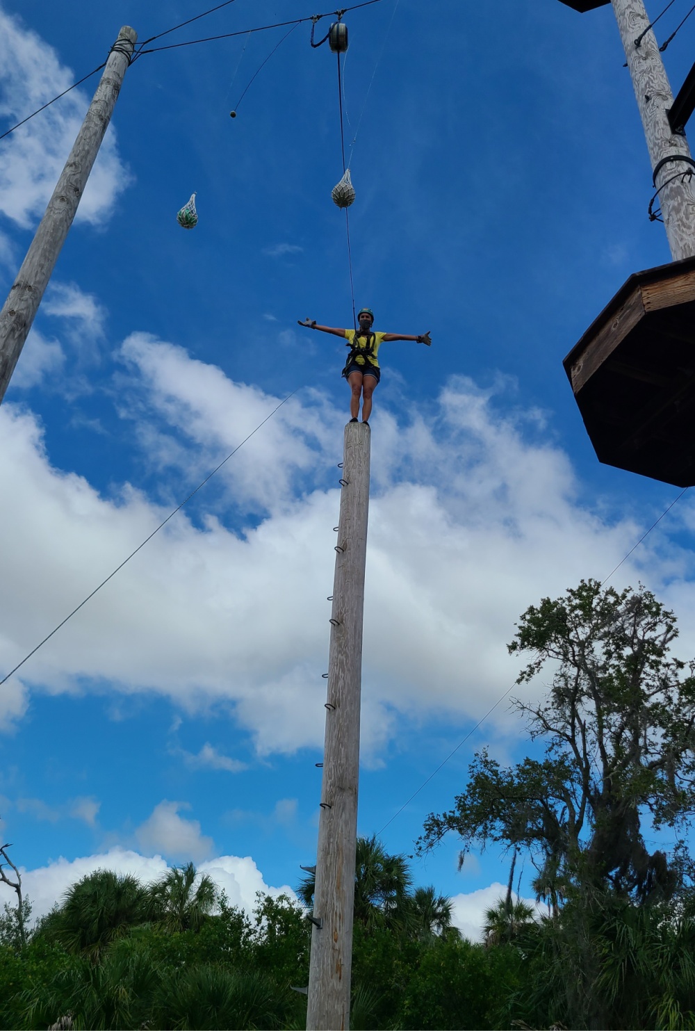 Tampa Staycation Ideas Empower Adventures Leap Of Faith