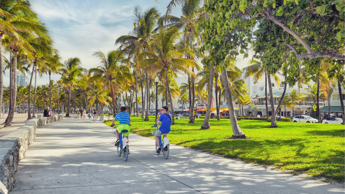 Top Free Things To Do In Miami South Beach