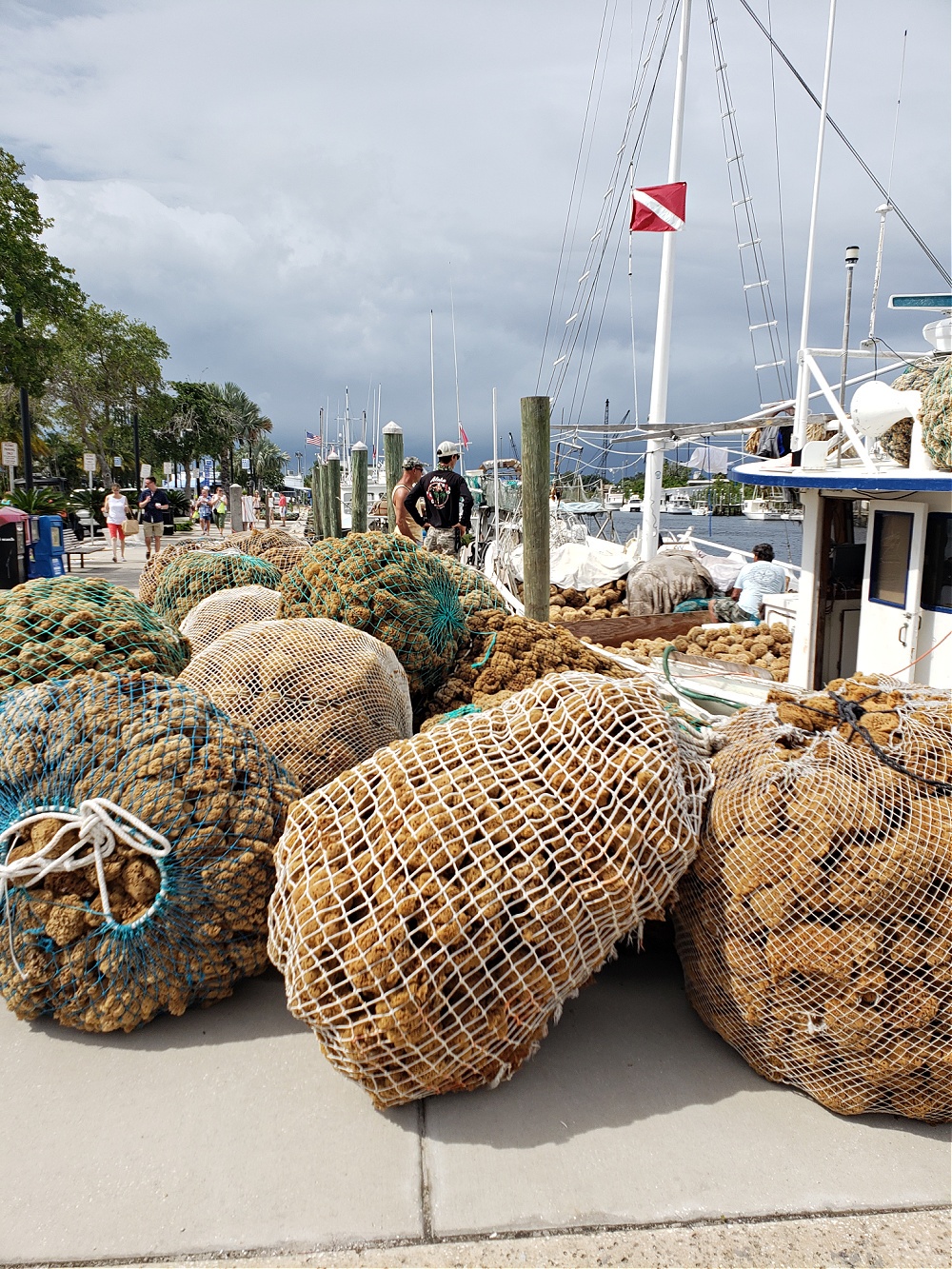 Best Things to Do in Tarpon Springs Florida