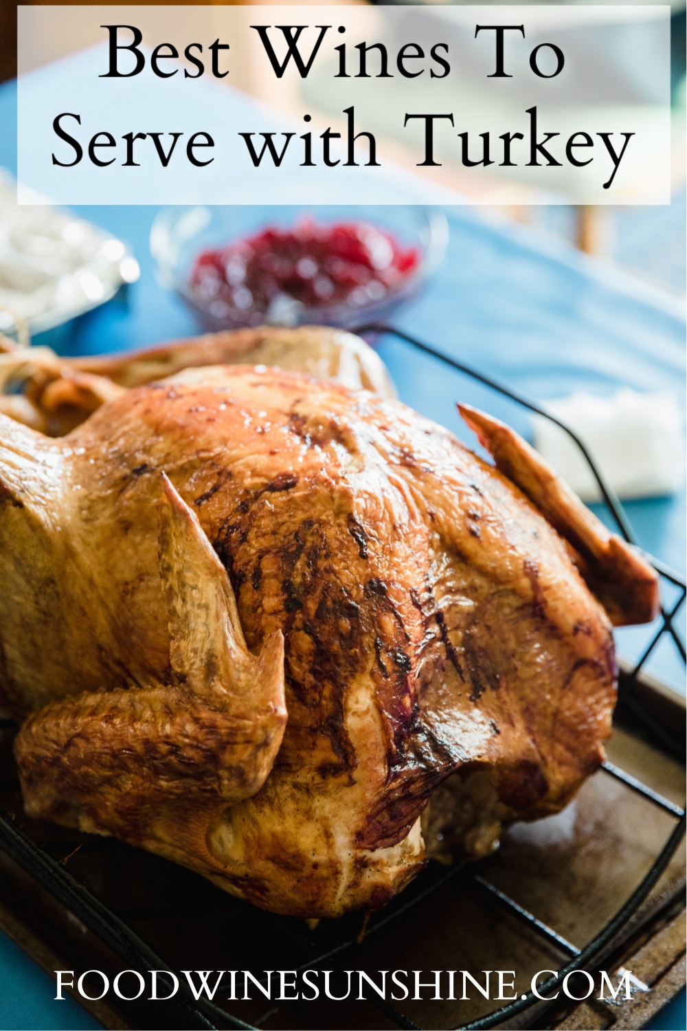 Best Wines To Serve With Turkey Dinner