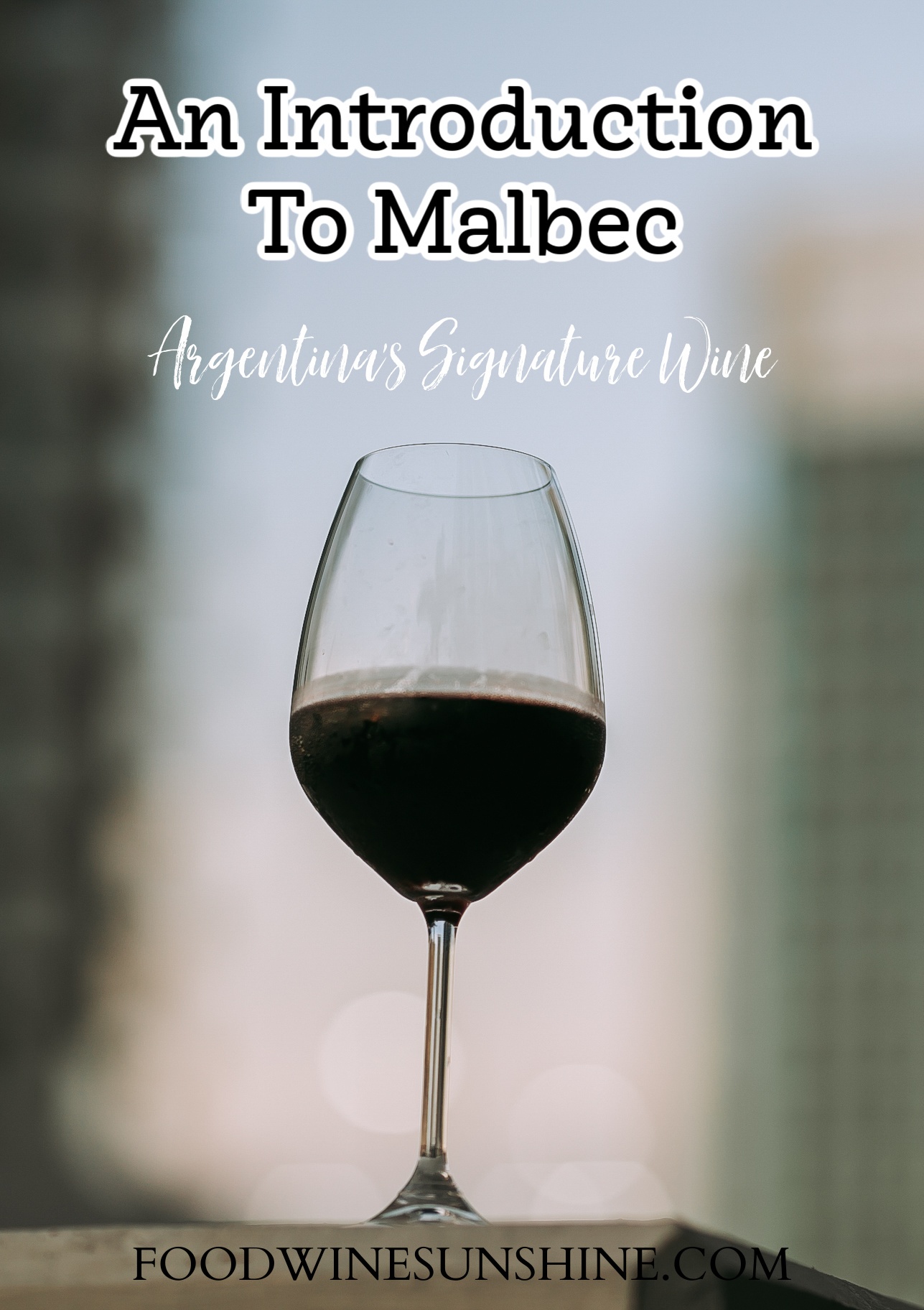 Introduction To Malbec