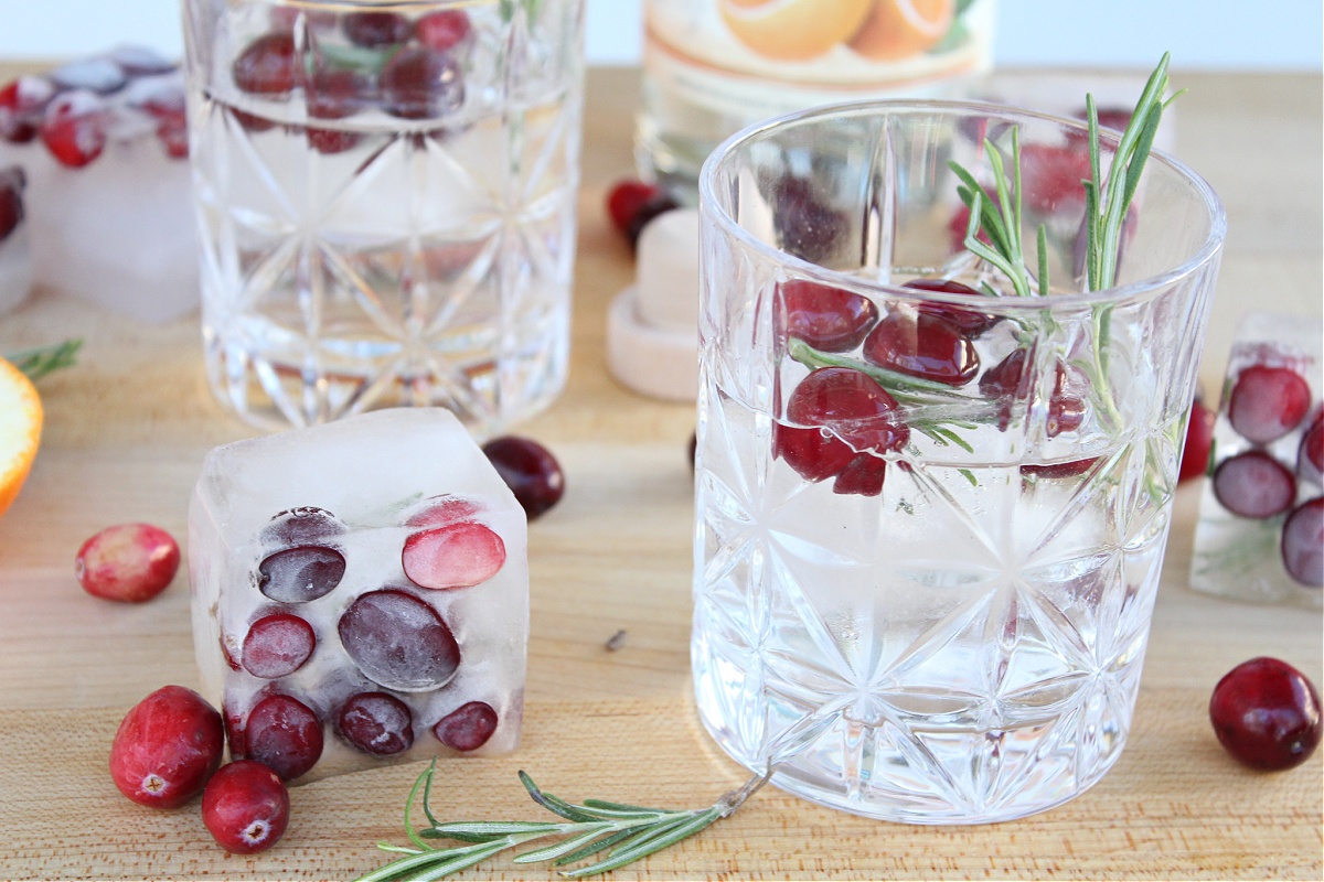 4 Cocktail Ice cube ideas (infused with fruits). 