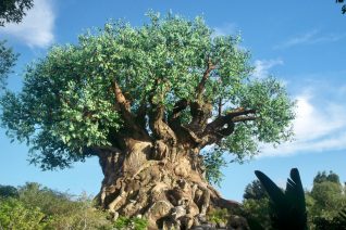 Tips For Visiting Animal Kingdom Tree of Life