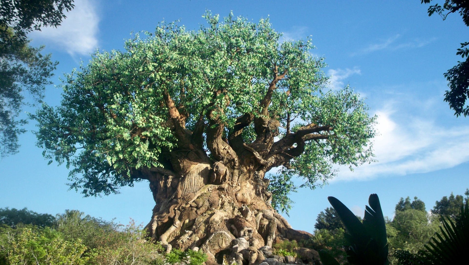 Best Tips for Visiting Animal Kingdom