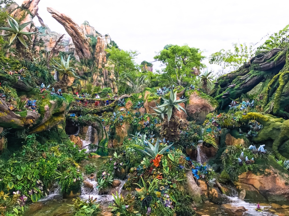 Best Tips For Visiting Disney's Animal Kingdom 