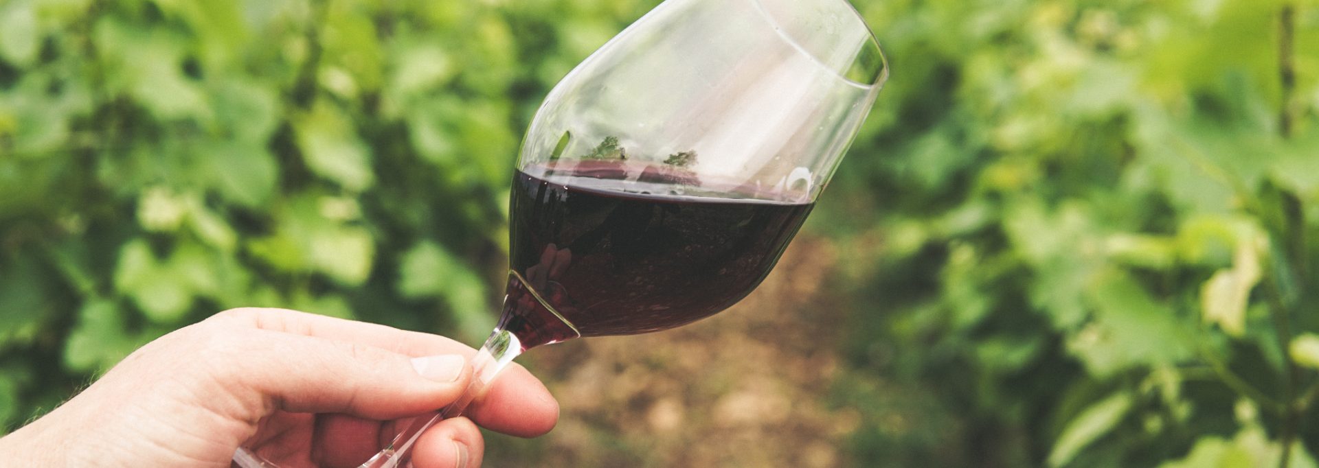 Tips For Letting Wine Breathe