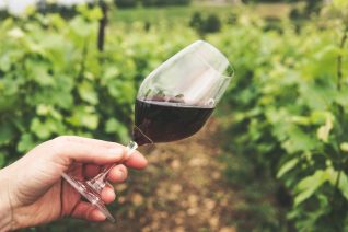 Tips For Letting Wine Breathe