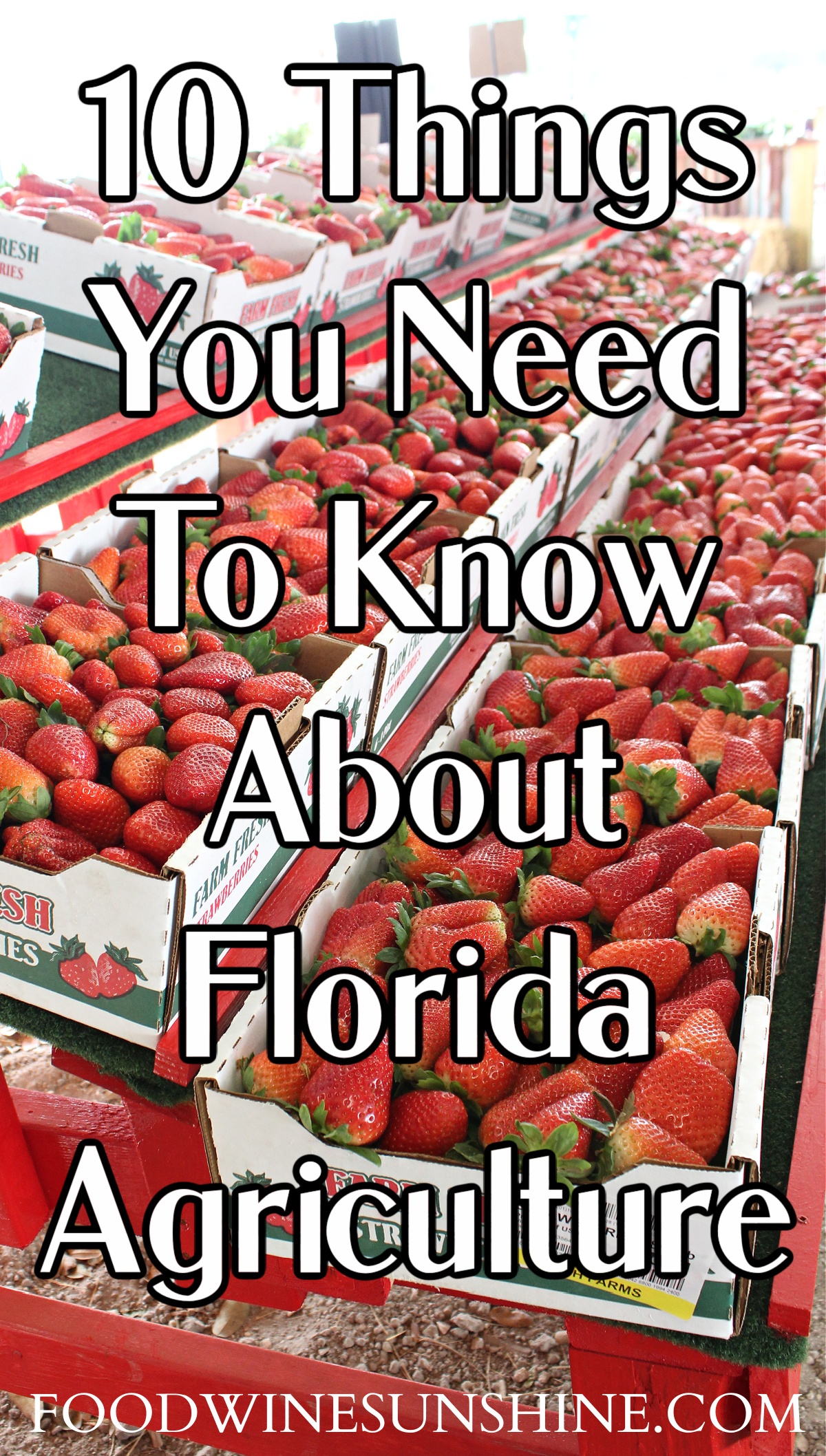 10 Things You Need To Know About Florida Agriculture