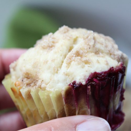 Homemade Blueberry Muffins In Hand