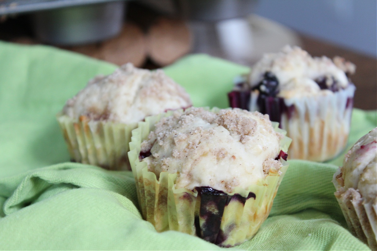 Tasty Homemade Blueberry Muffins 