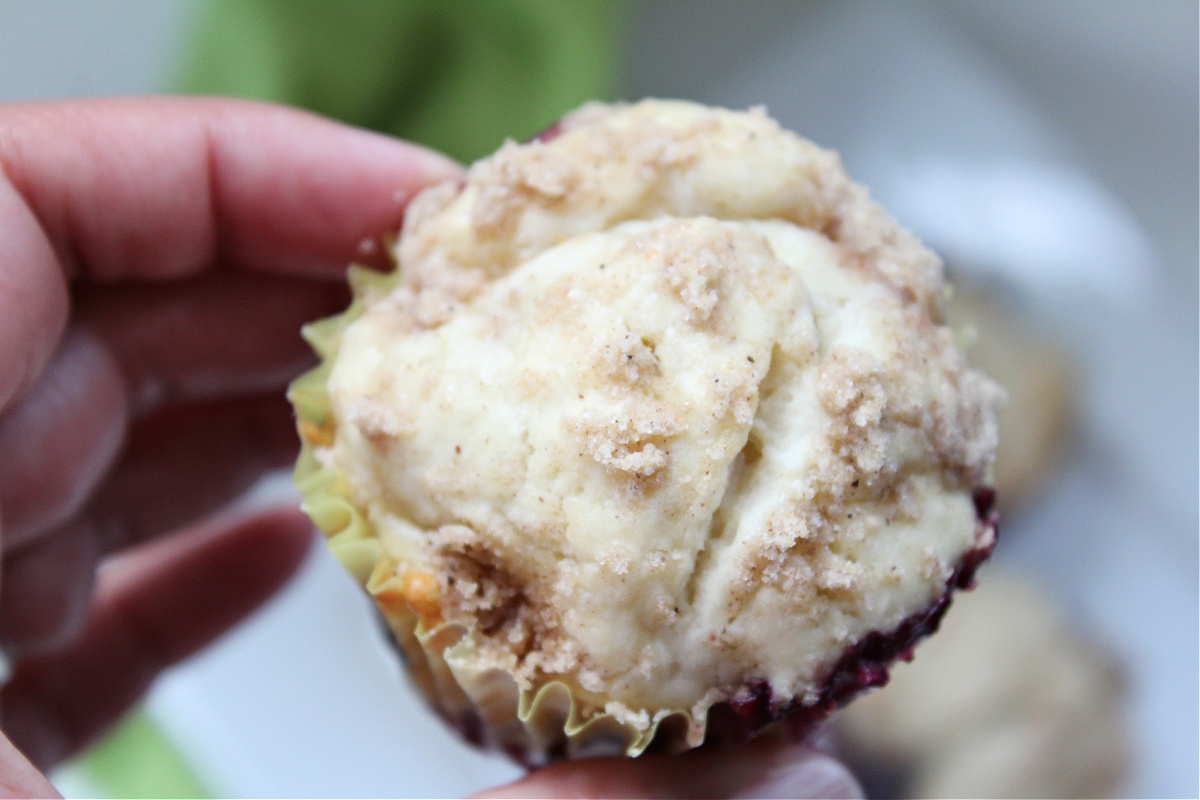 Homemade Blueberry Muffins with Streusel Topping