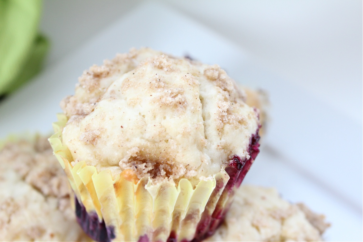 Best Blueberry Muffins with Streusel Topping