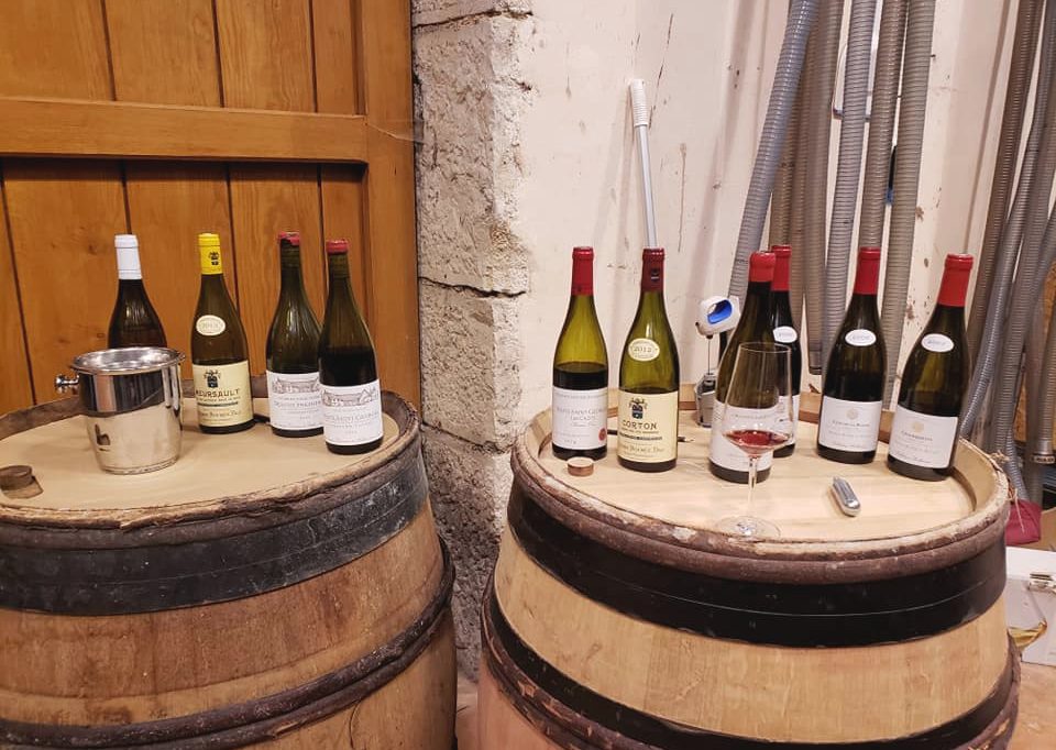 wine tasting france