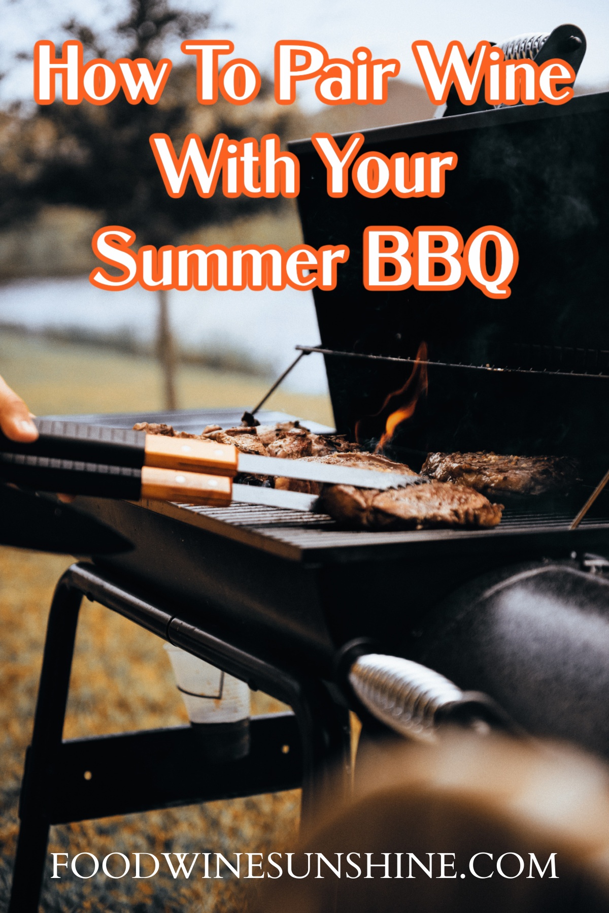 How To Pair Wine with Summer BBQ