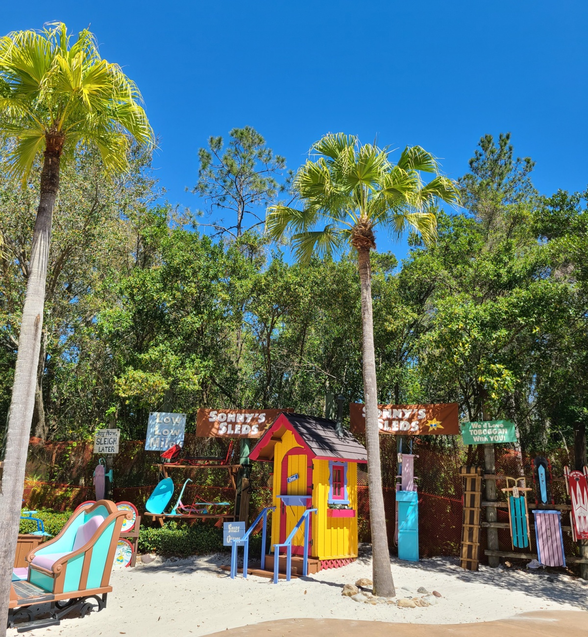 Things To Do At Disney's Blizzard Beach Water Park