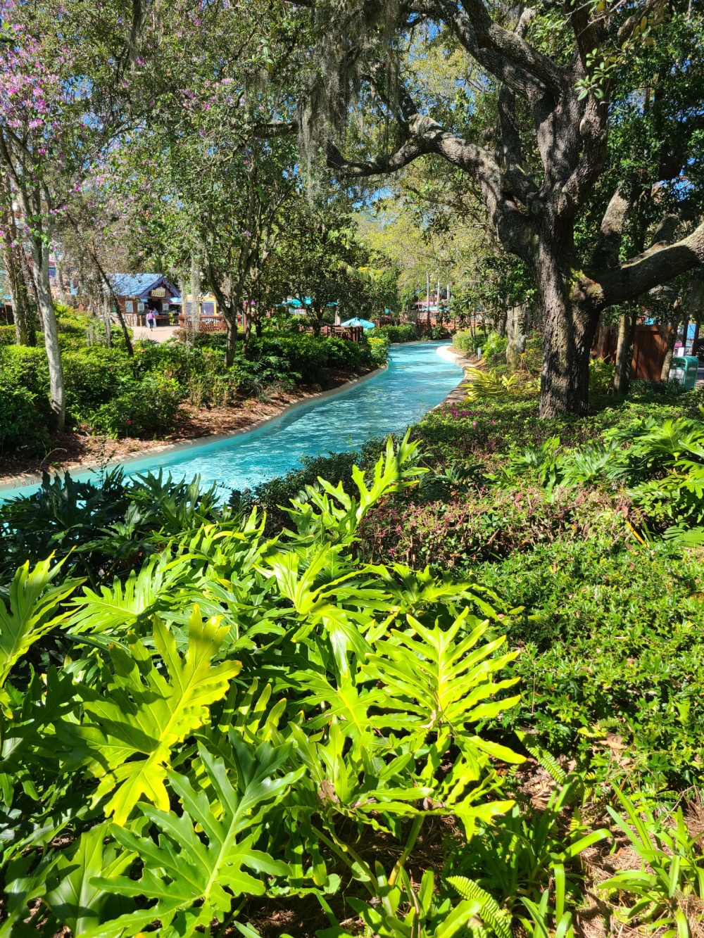 Best Things To Do At Disney's Blizzard Beach 