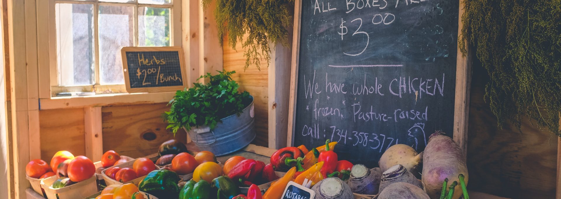 Tips For Storing Fresh Produce