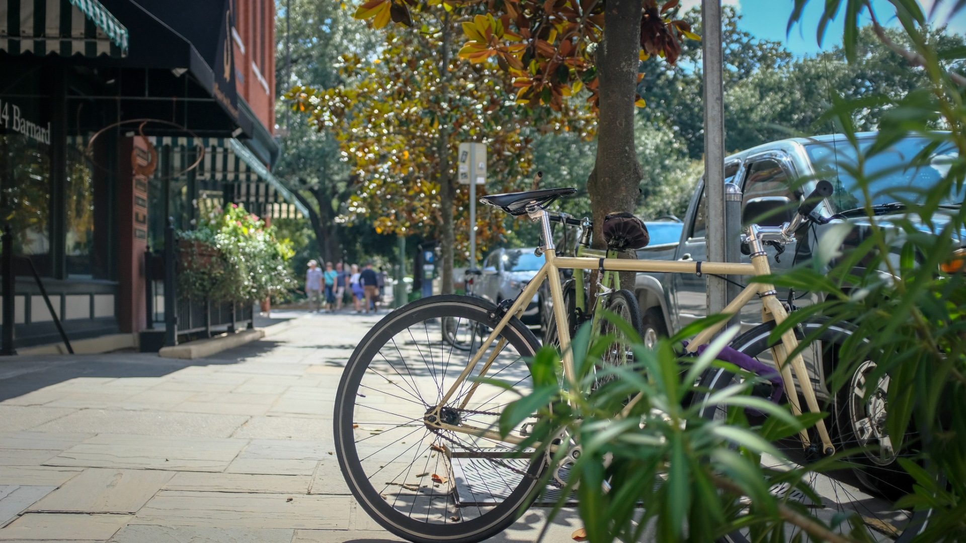 Planning The Perfect Weekend In Savannah