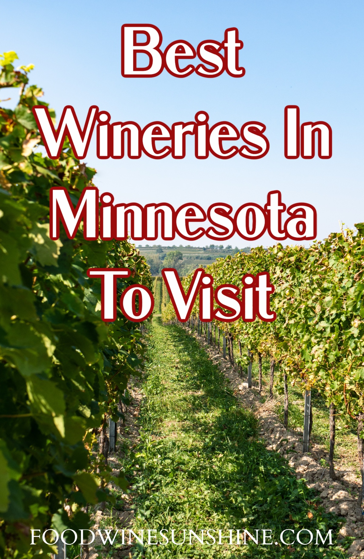 5 Of The Best Wineries In Minnesota To Visit