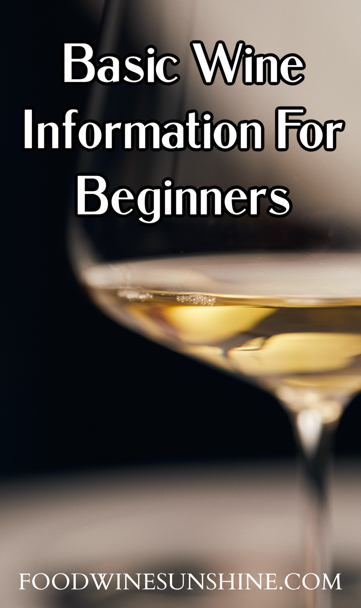 Basic Wine Information For Beginners