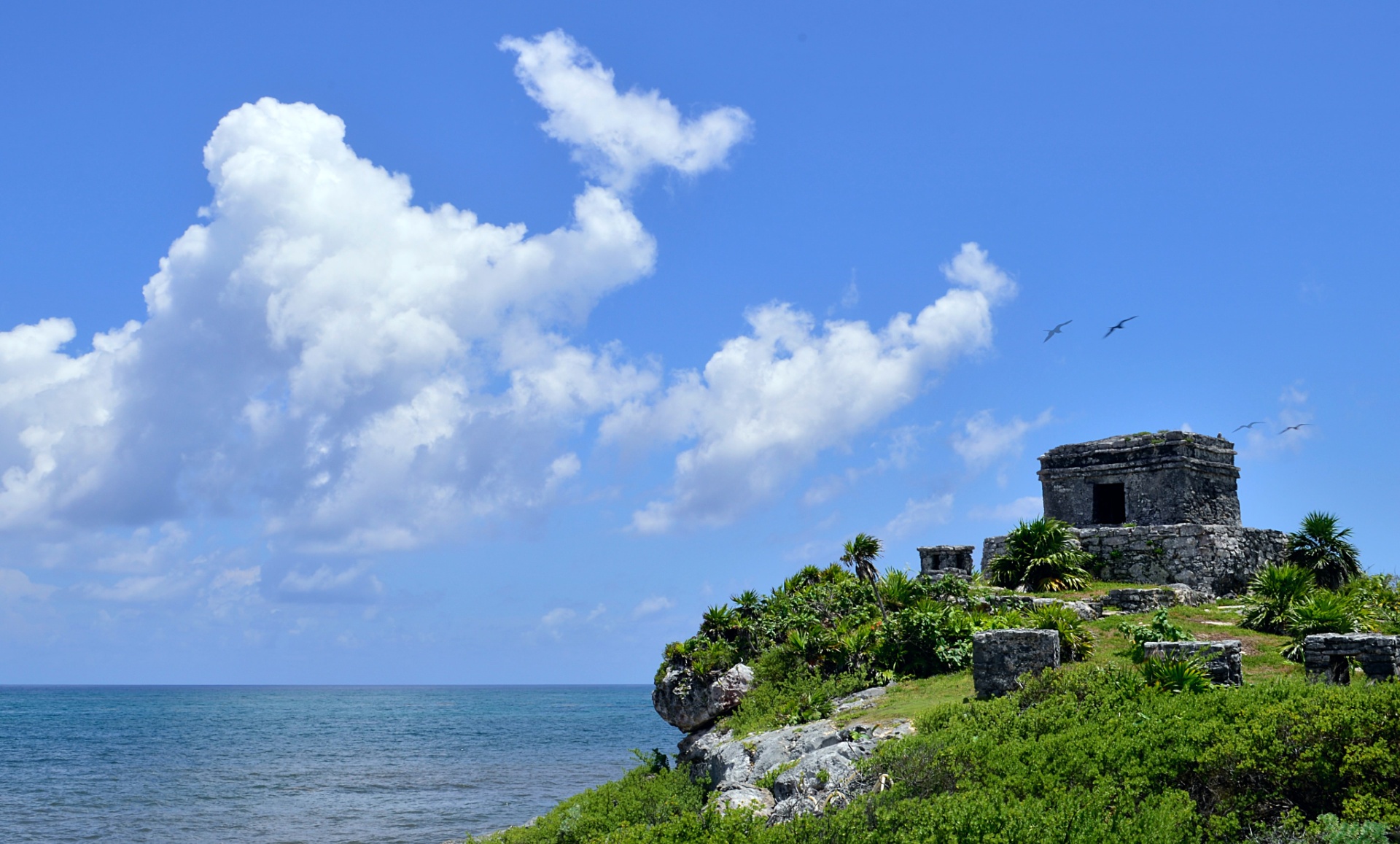 Top Day Trips From Tulum Mexico