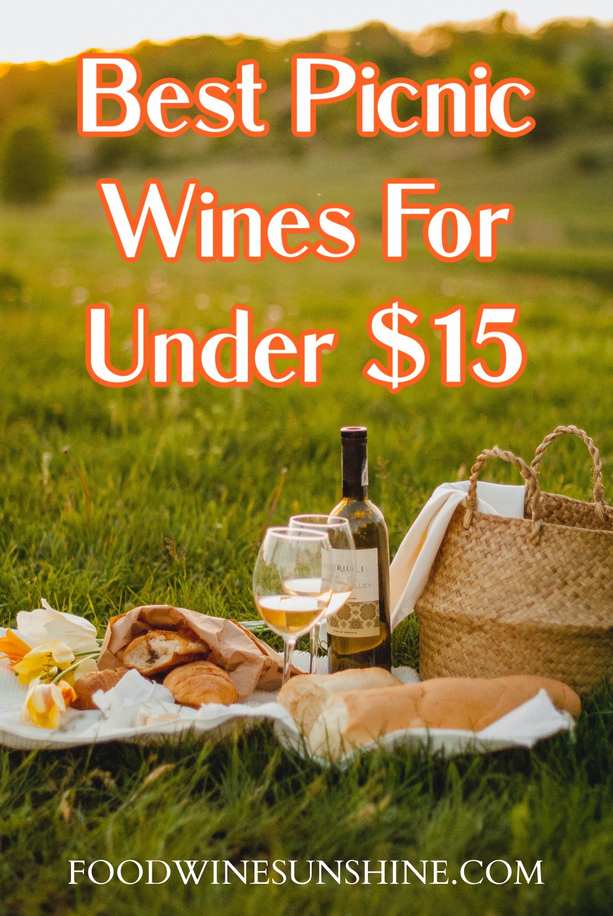 Best Picnic Wines For Under $15