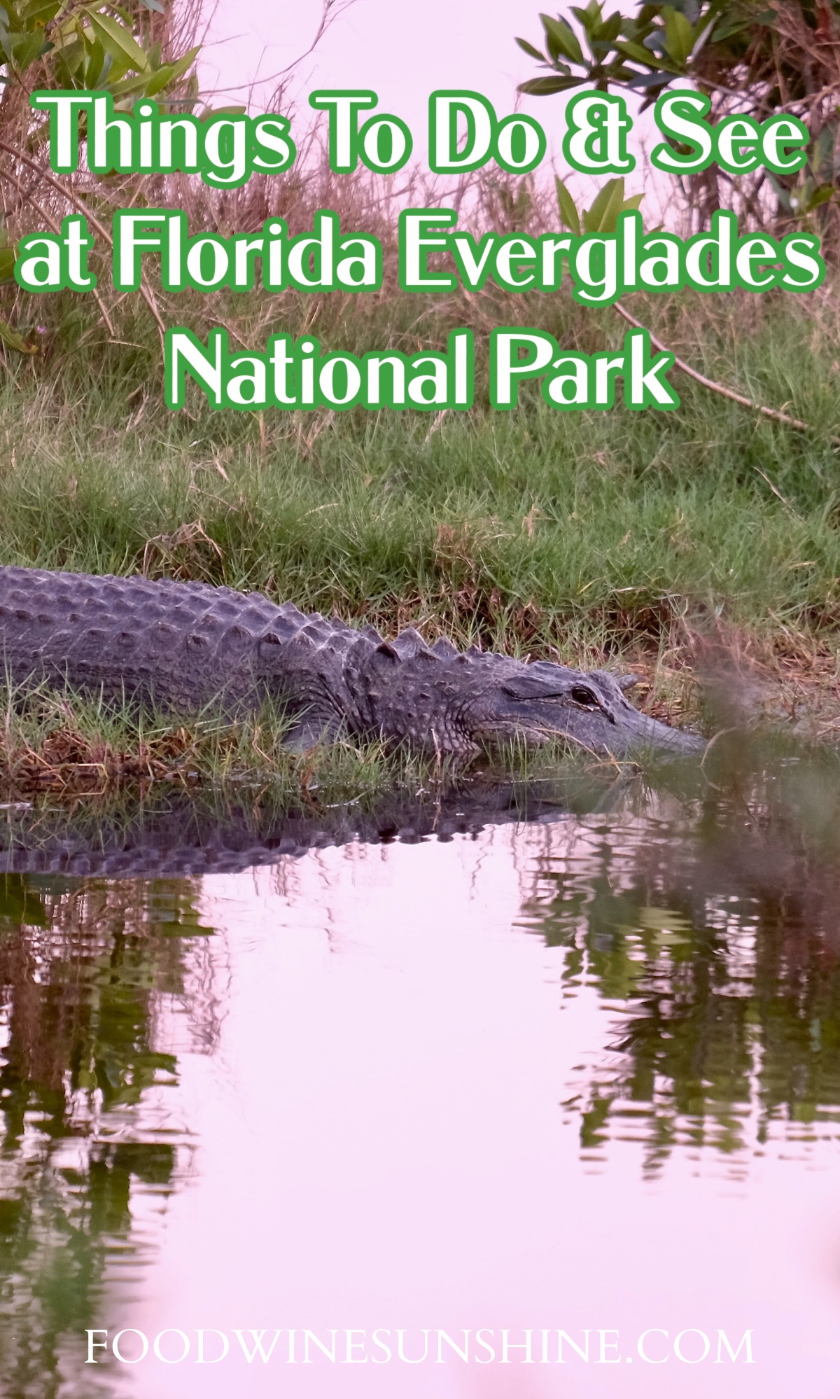 Florida Everglades National Park