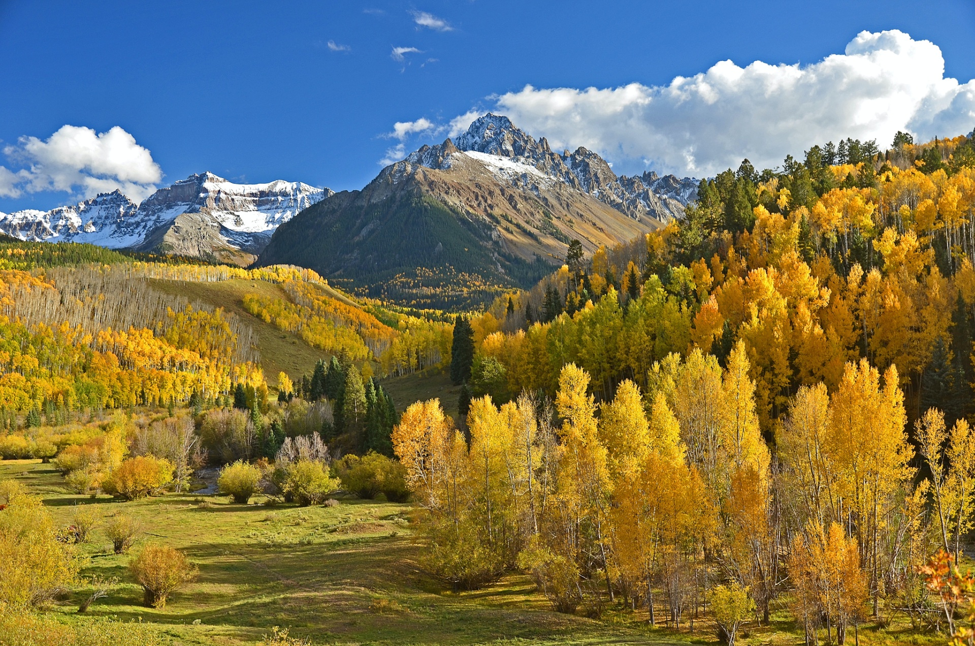 Colorado Wineries