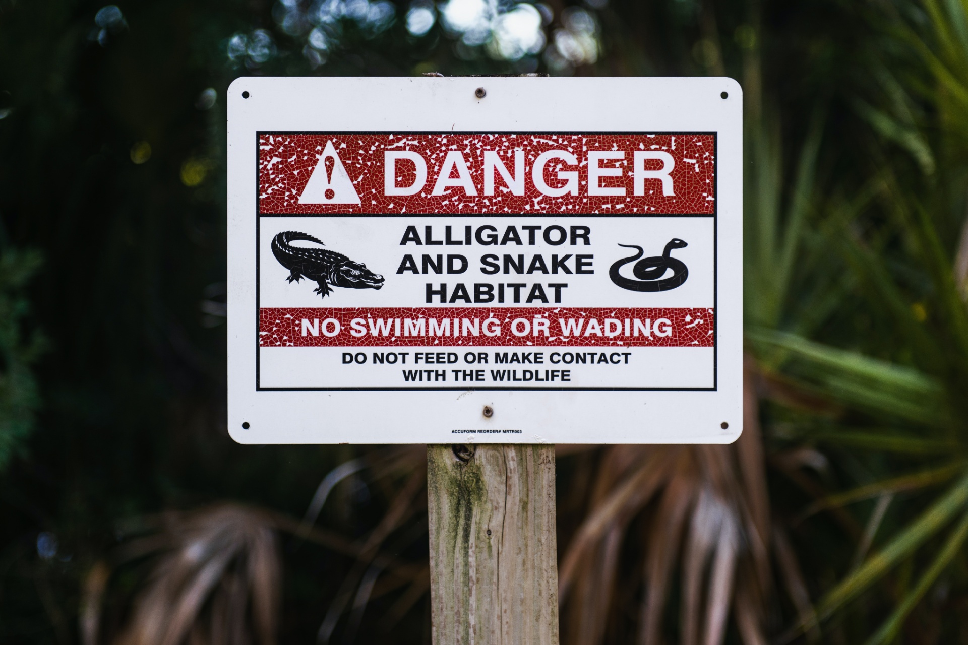 Things to do at Florida Everglades National Park