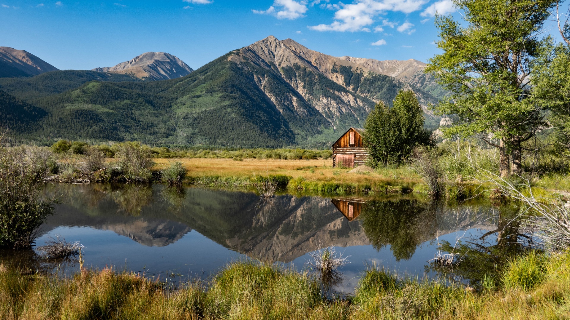 How to plan Family Vacations In Colorado