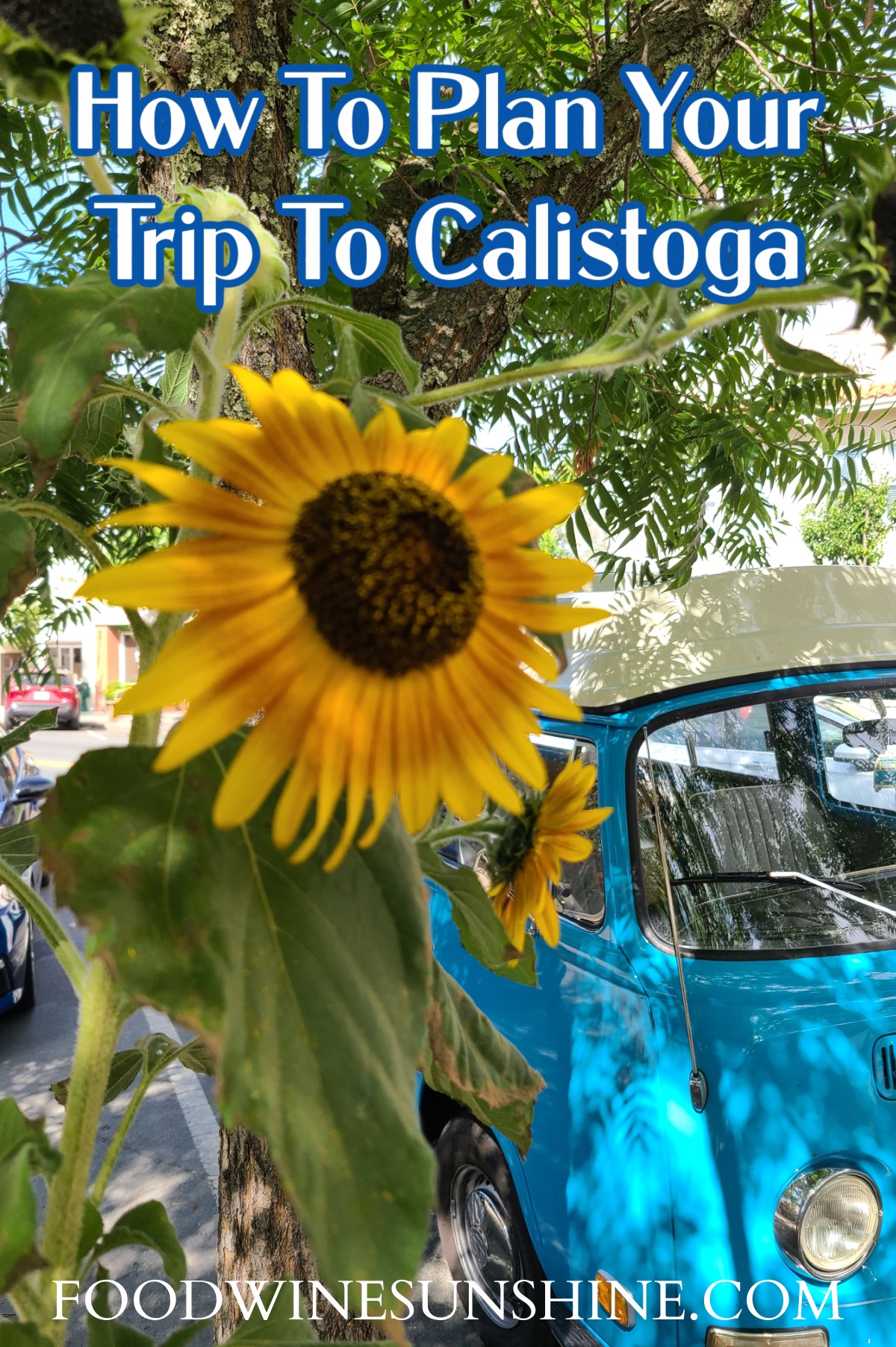 How To Plan Your Trip To Calistoga