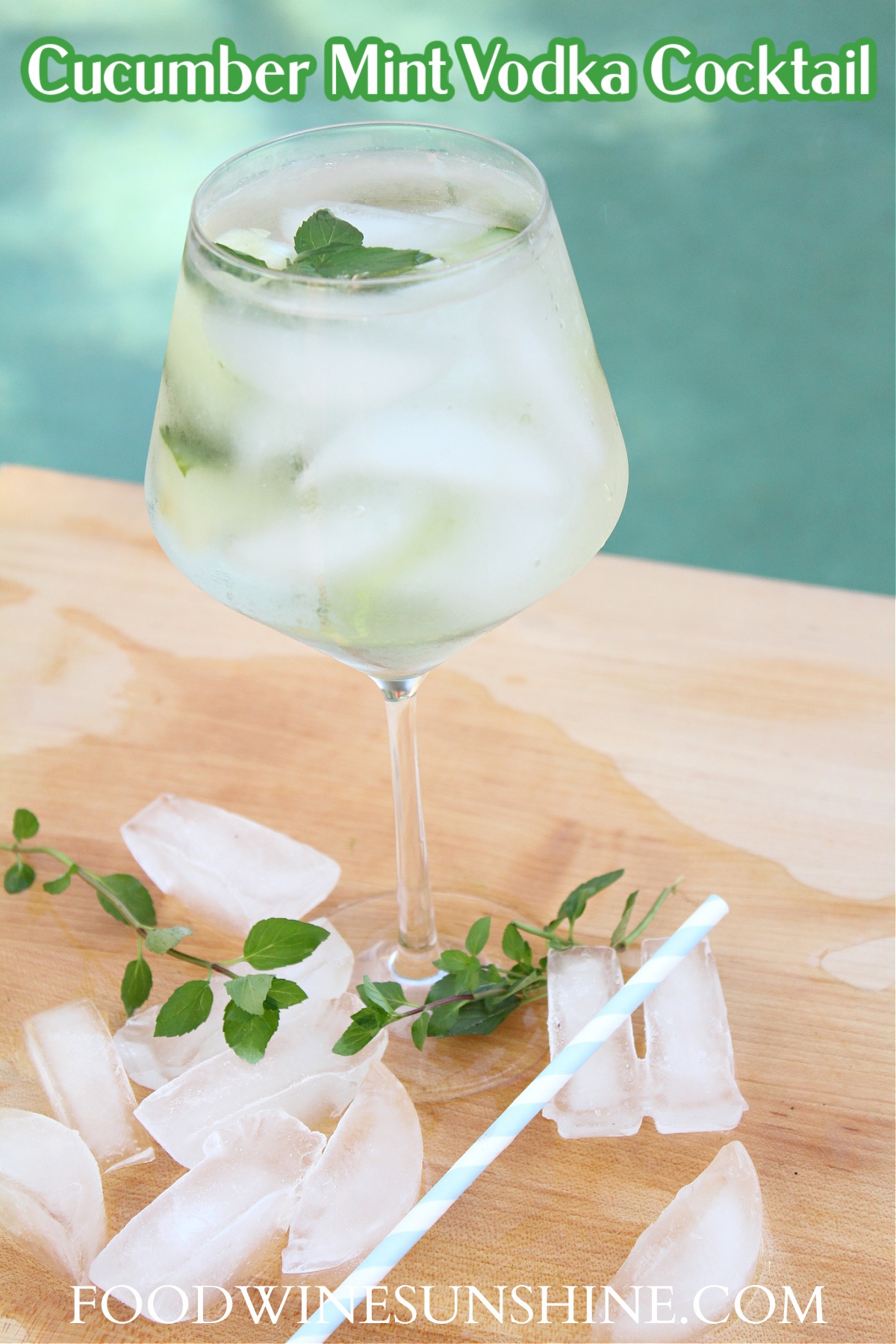 Best Cucumber Mint Vodka Cocktail