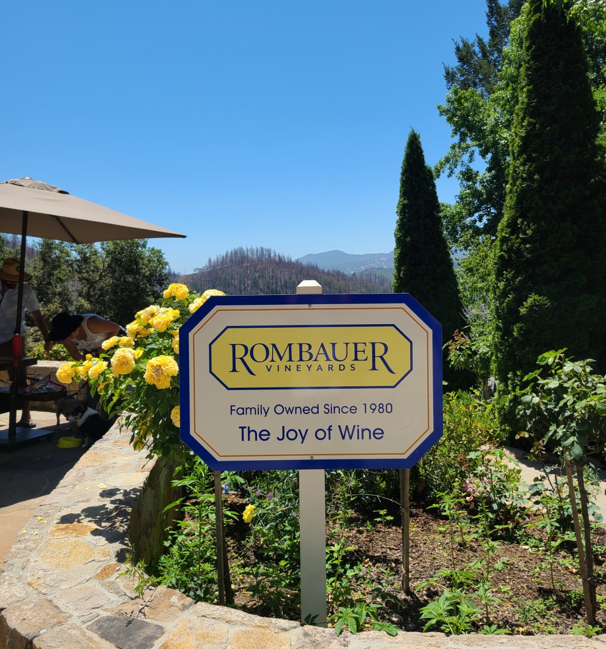 Best Wineries In Calistoga California