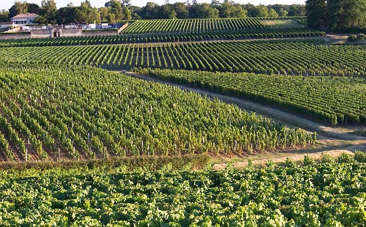 Best Wine Regions in France Bordeaux