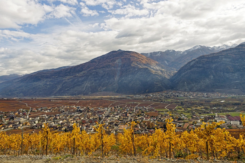 6 Best Wine Regions in France