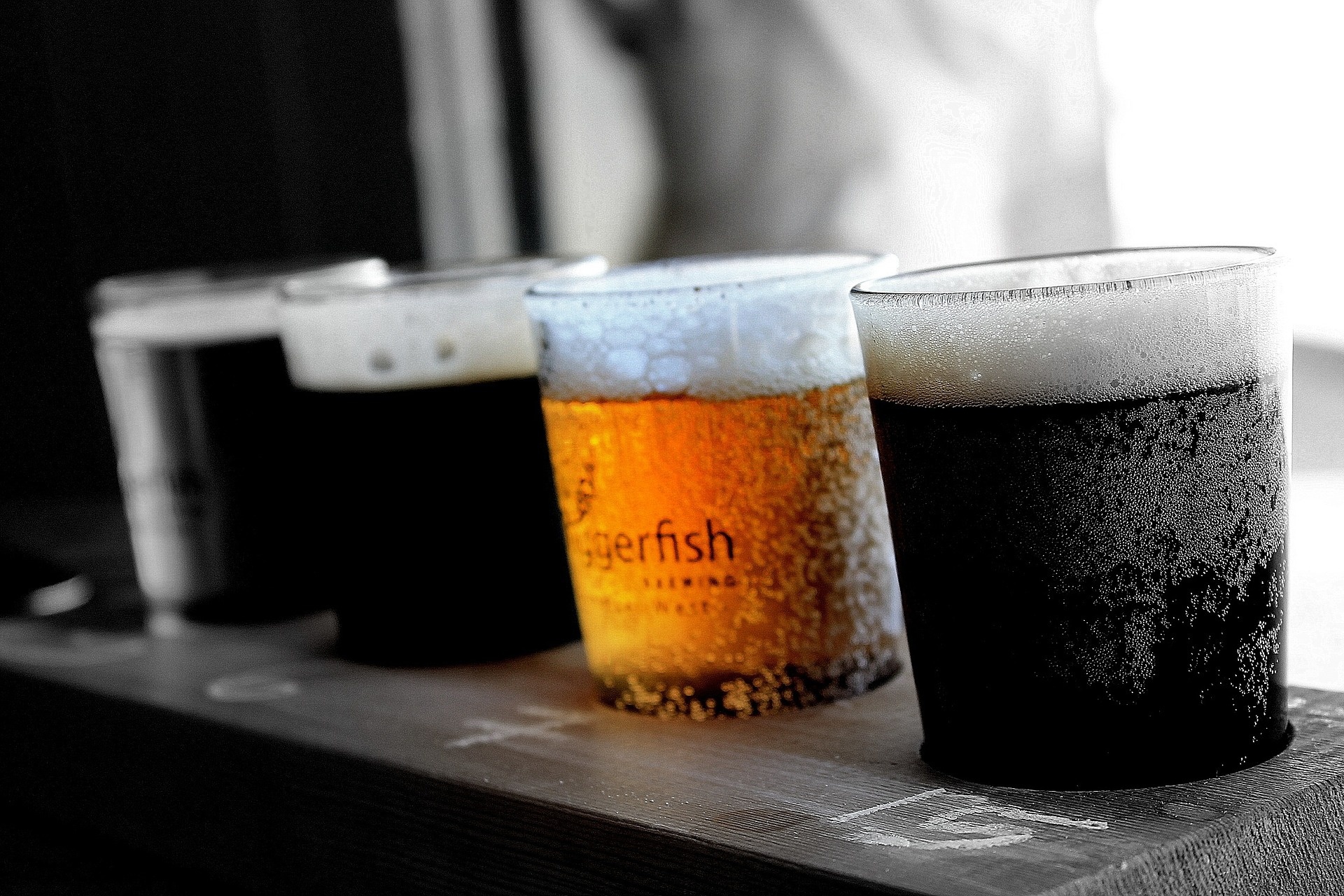 Best Florida Breweries