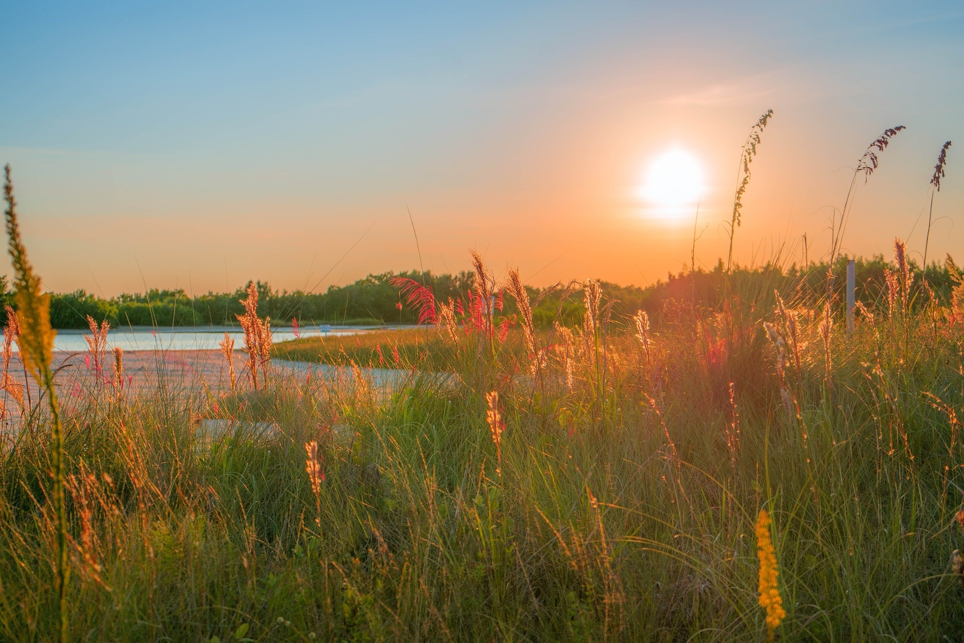 Why visit Marco Island Florida