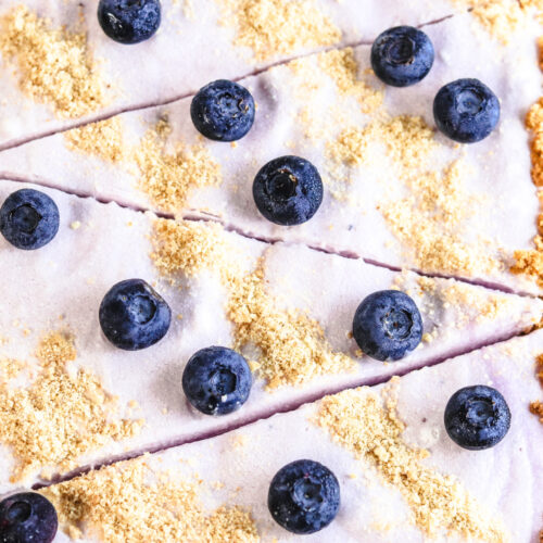 Frozen Blueberry Yogurt Tart