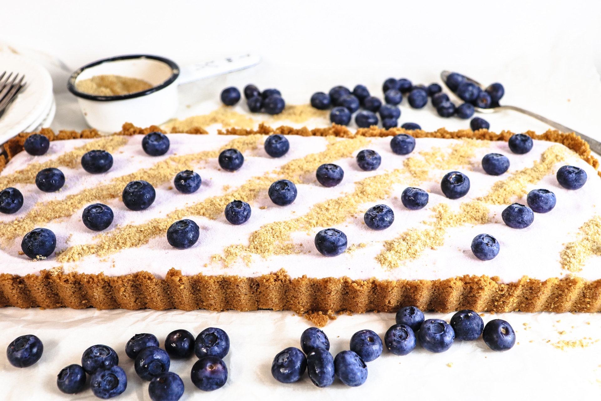 Best Frozen Blueberry Yogurt Pie 