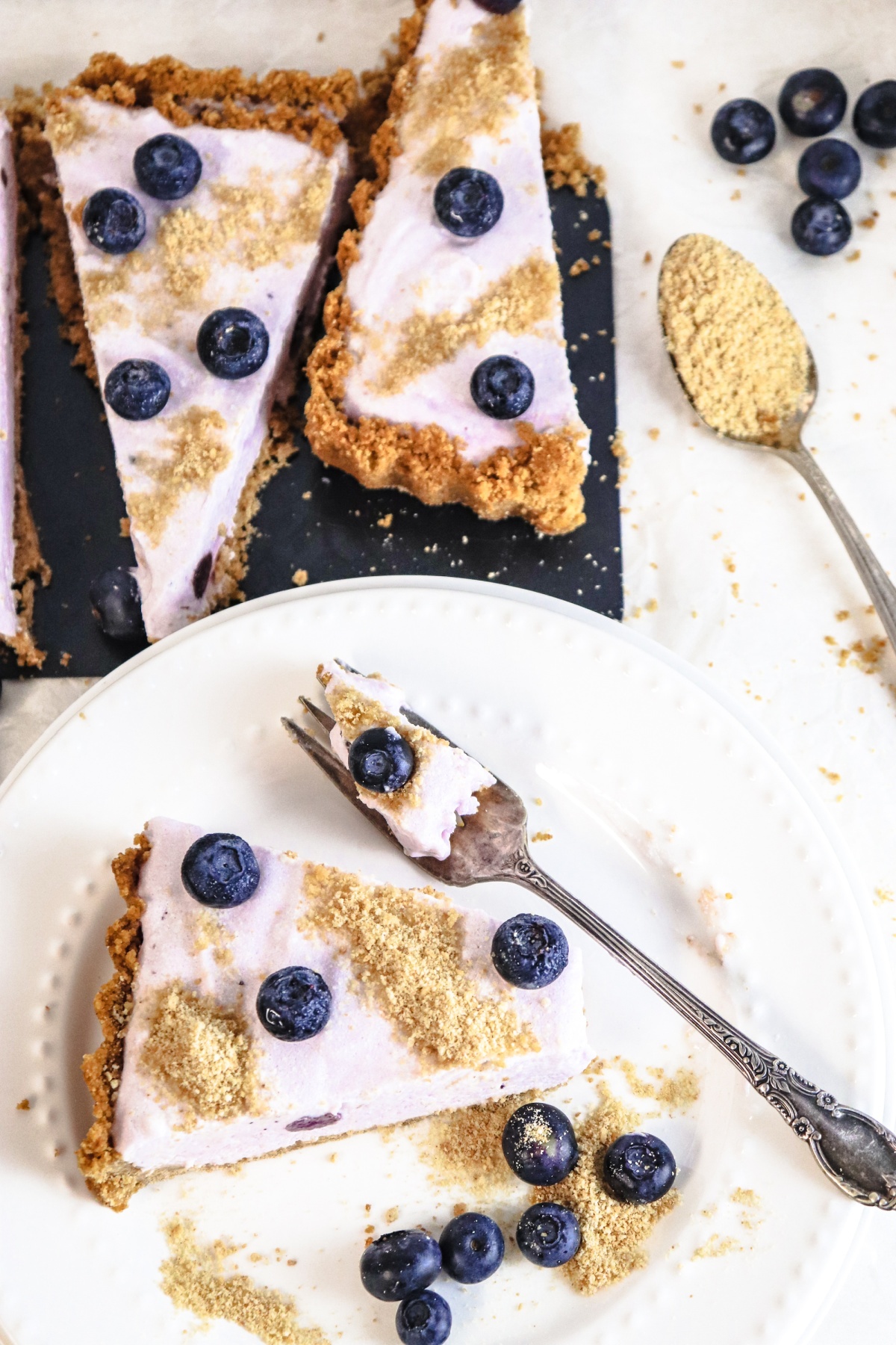 Tasty Frozen Blueberry Yogurt Pie 
