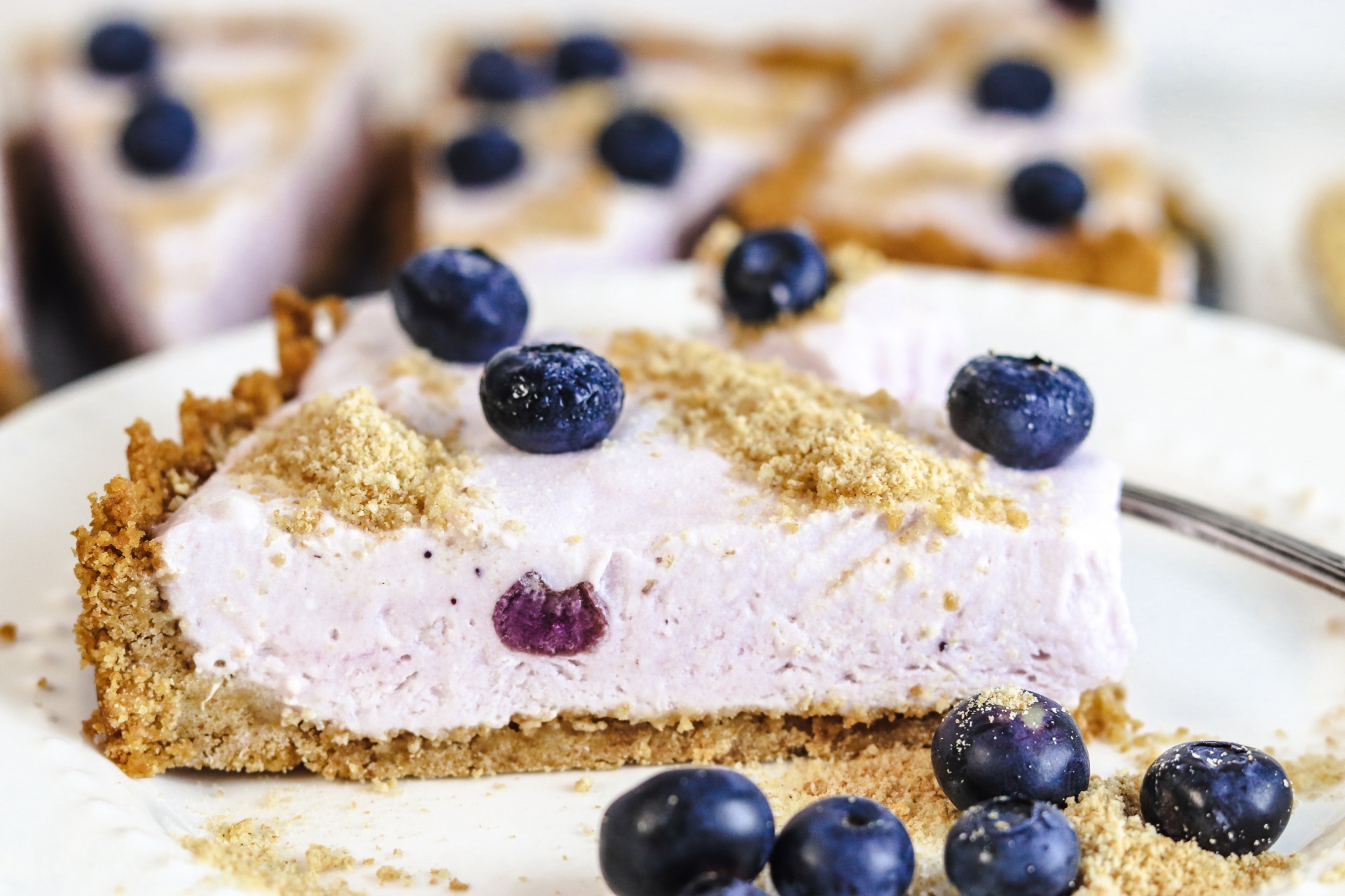 Best Frozen Blueberry Yogurt Tart
