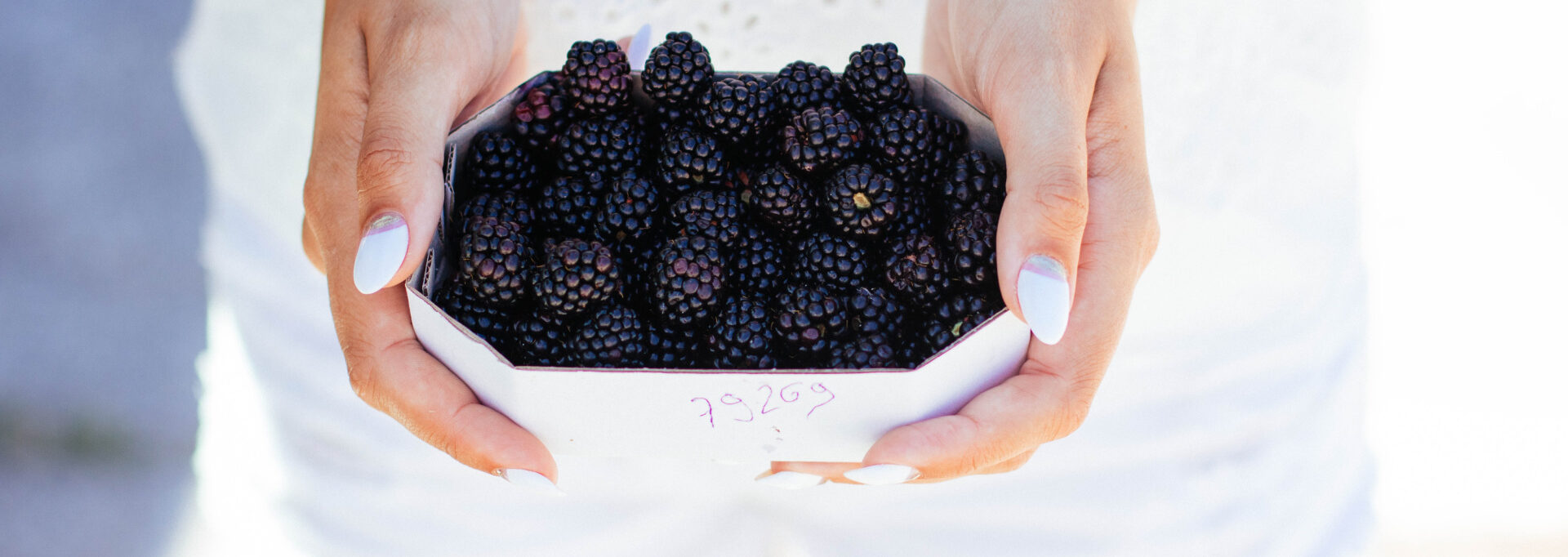 blackberry recipes