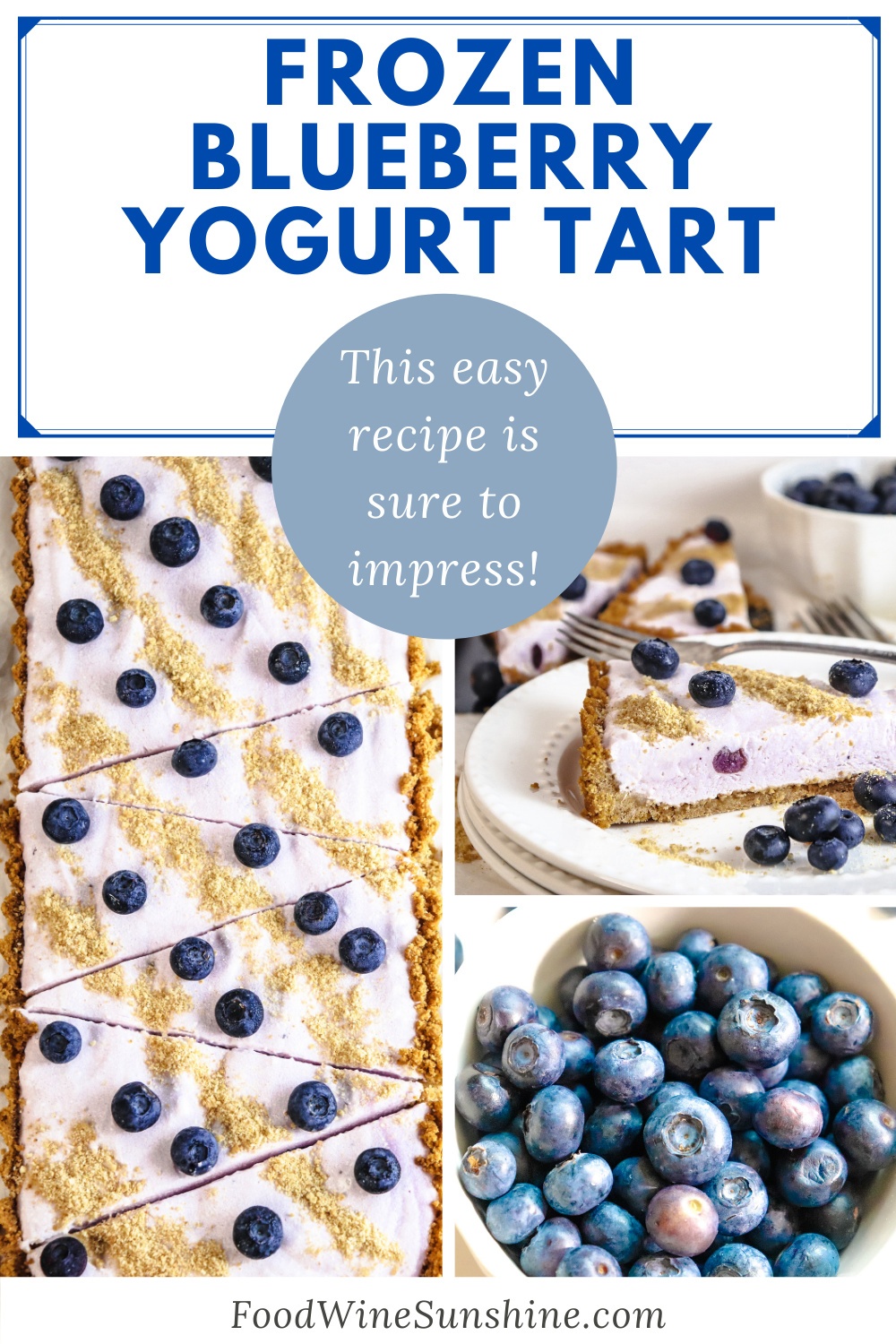 Best Frozen Yogurt Pie made with blueberries