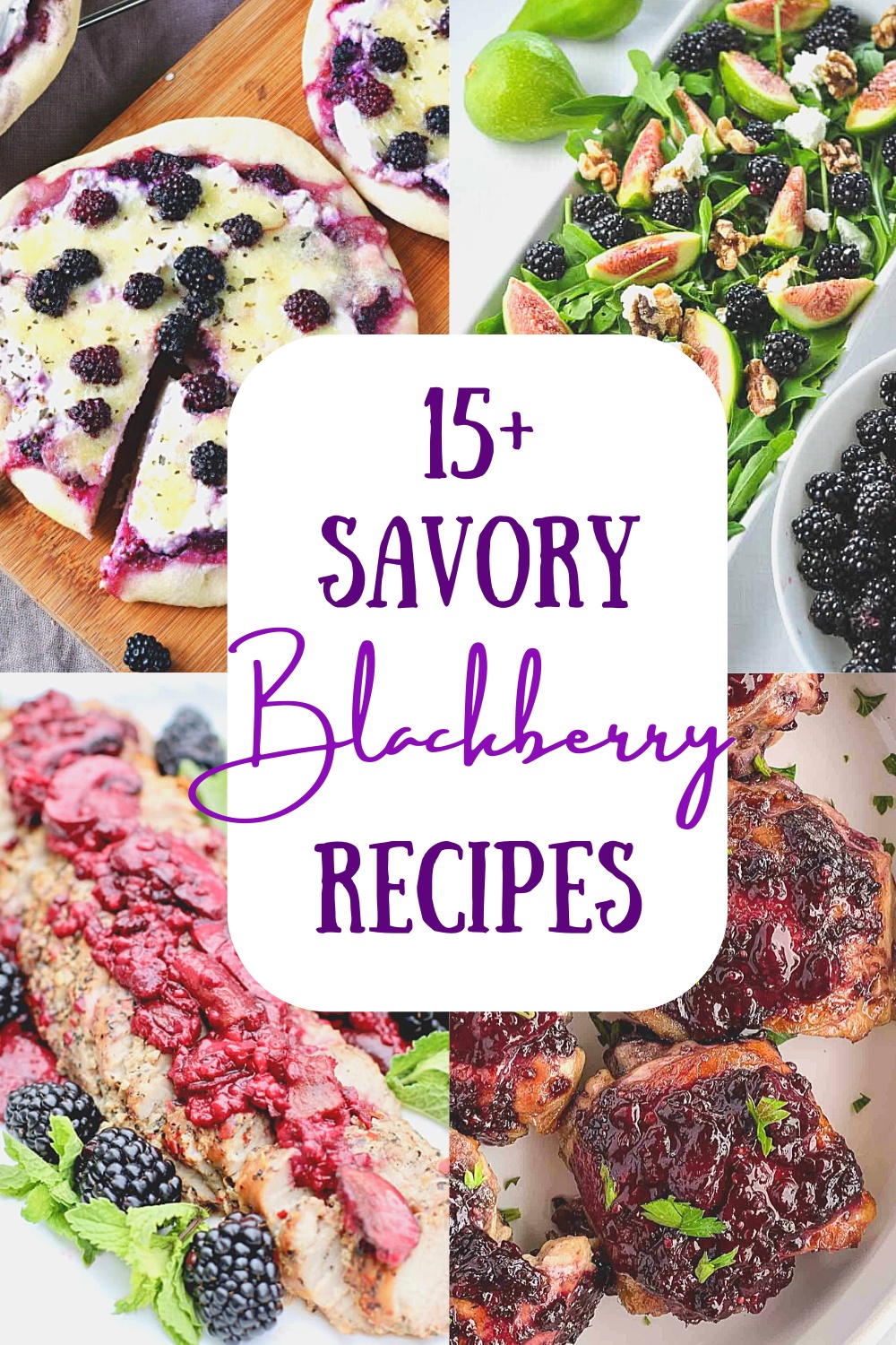 Tasty Savory Recipes using blackberries