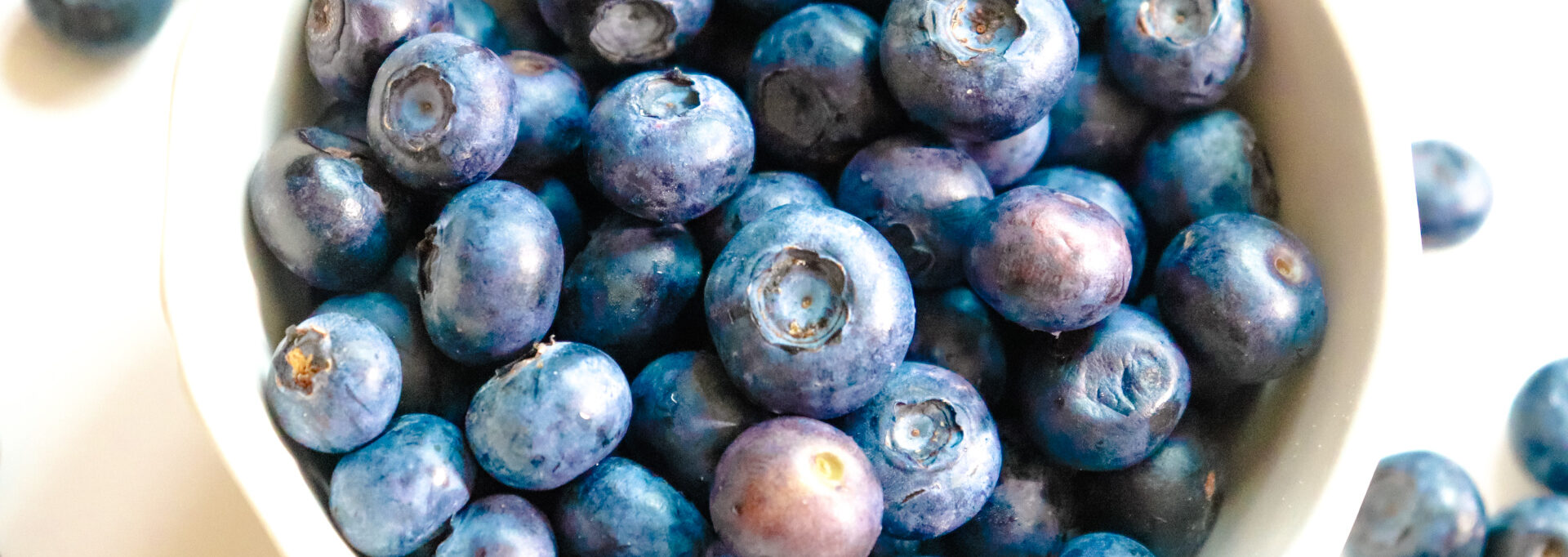 Blueberry photos