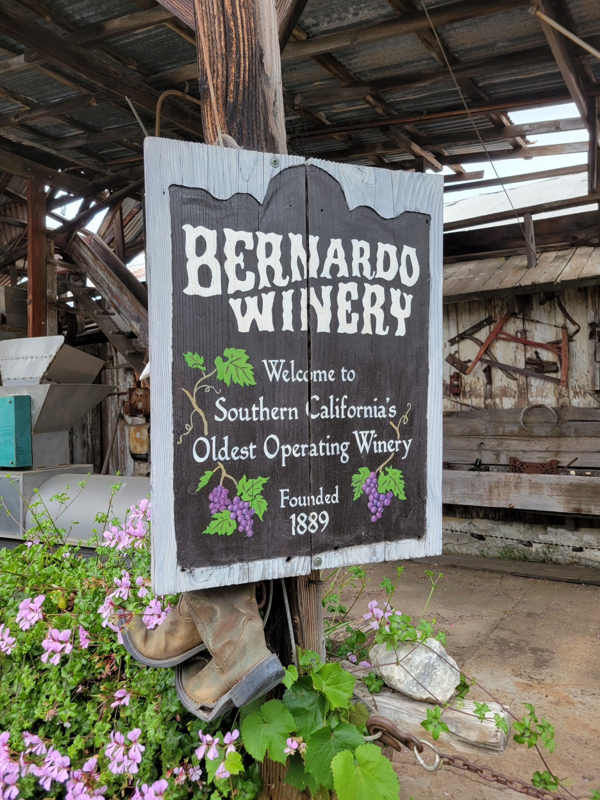 Things To Do In San Diego - Best Wine Tours
