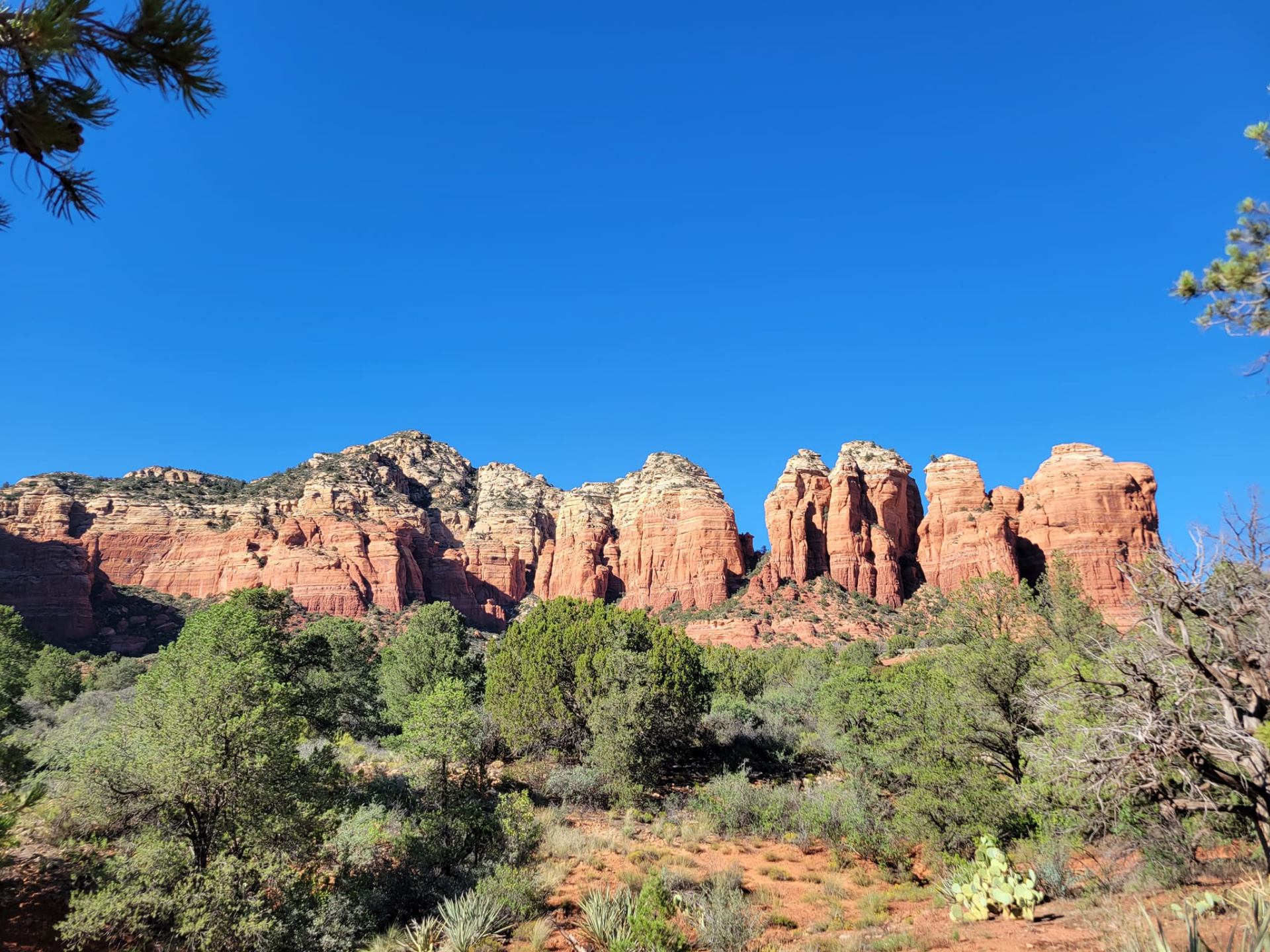 Sedona Red Rocks