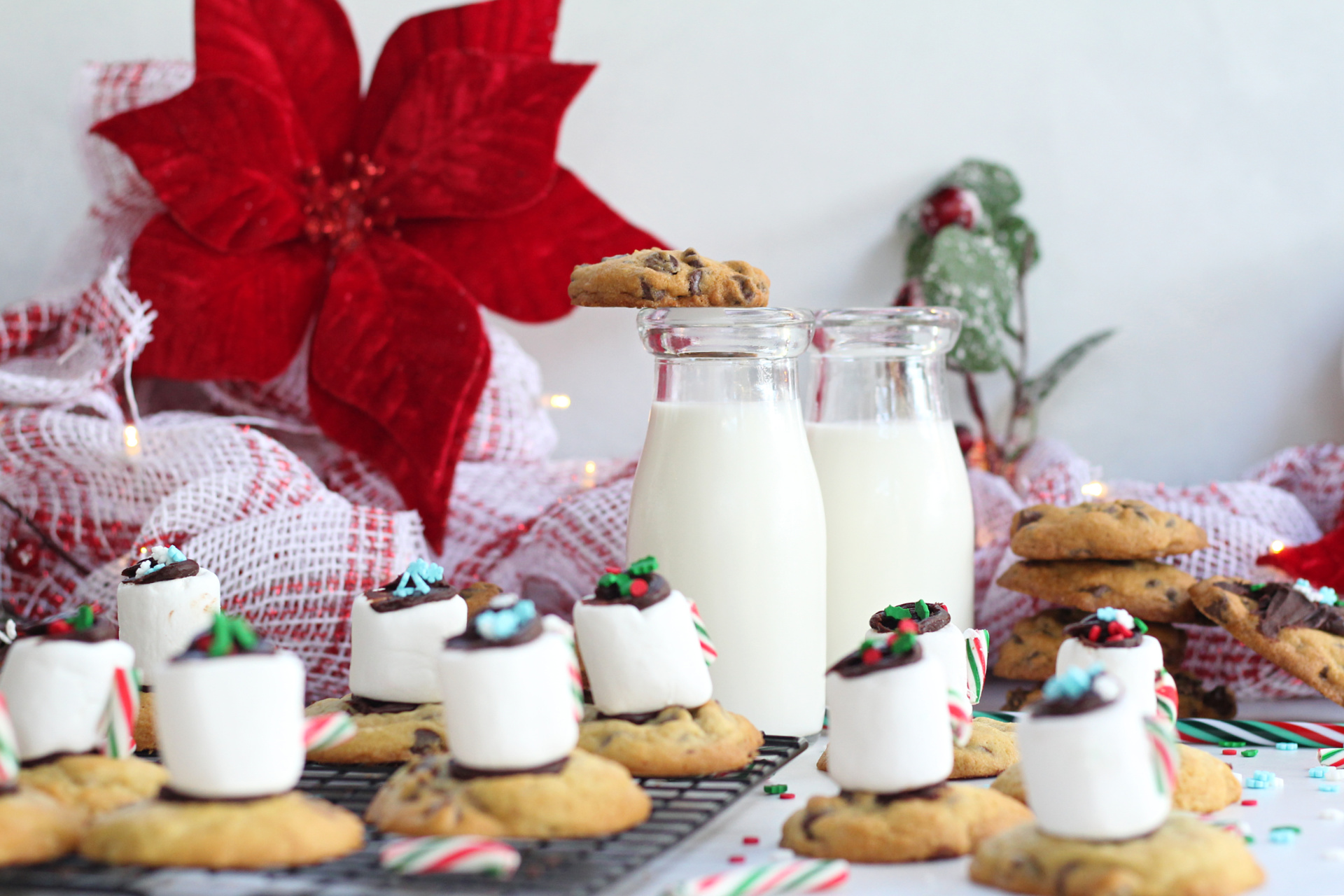 Best Christmas Cookies