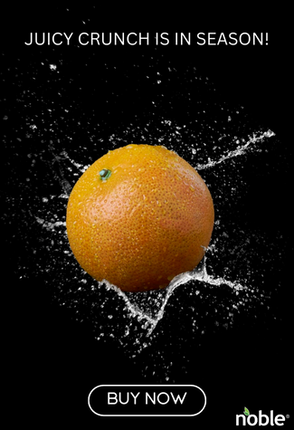 Where to buy Juicy Crunch Tangerines