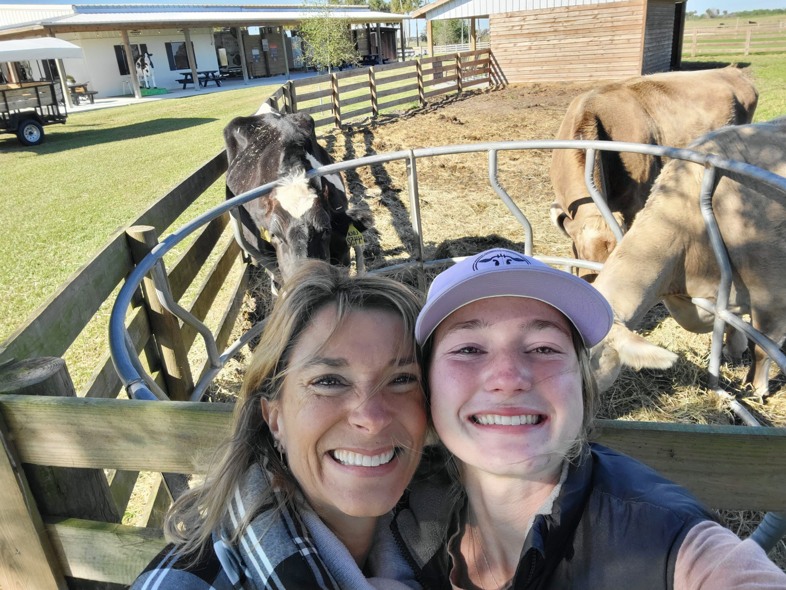 Florida Dairy Farm